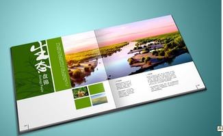 彩页印刷 产品宣传的视觉利器与实战策略